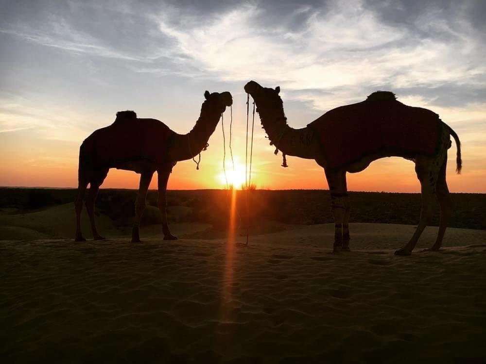 Hotel Himmat Niwas Jaisalmer Exterior foto