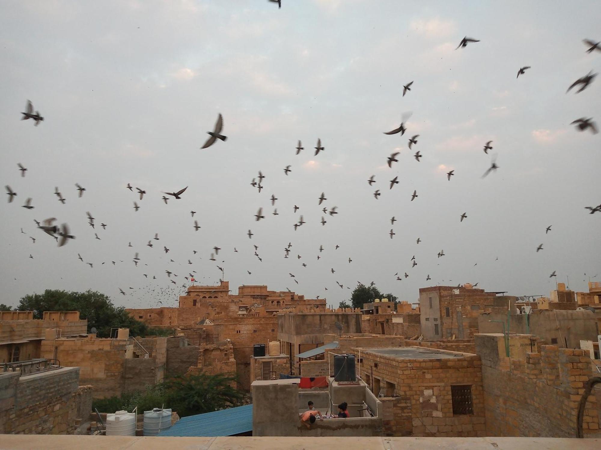 Hotel Himmat Niwas Jaisalmer Exterior foto